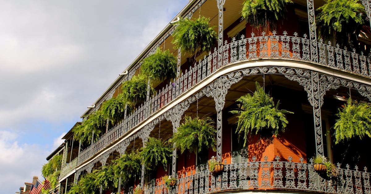 Detailed view of ornate ironwork balconies with lush greenery in New Orleans under a vibrant sky.